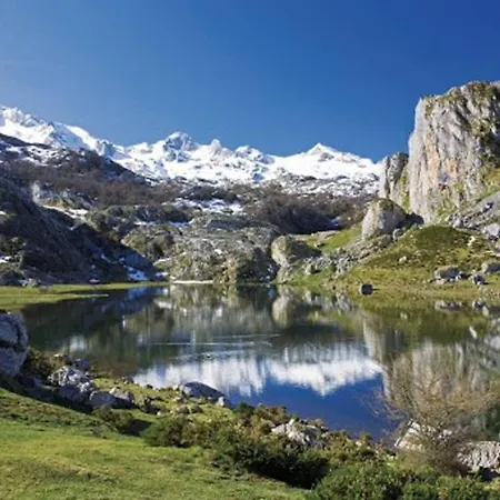 Tatil Evi San Pumes *