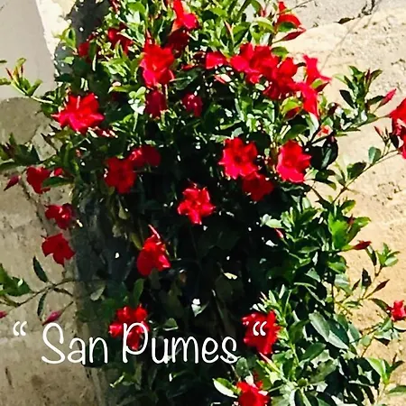 Prázdninový dům San Pumes